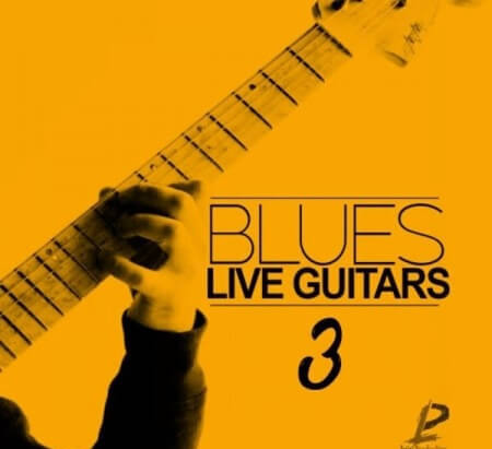 Luigi Production Blues Live Guitars 3 WAV